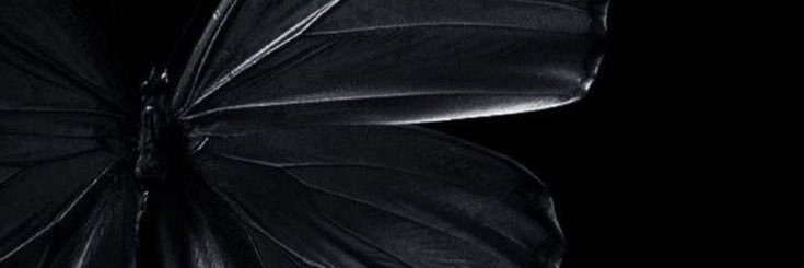 2ofTWO_'s profile banner image