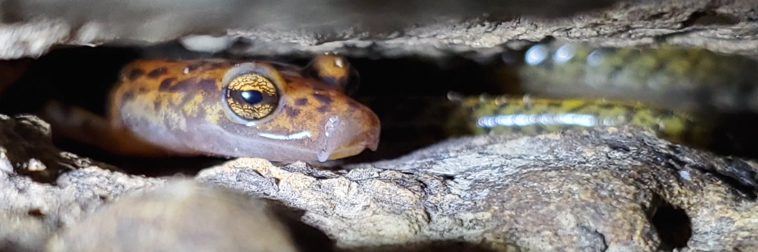 IUCN SSC Amphibian Specialist Group's banner
