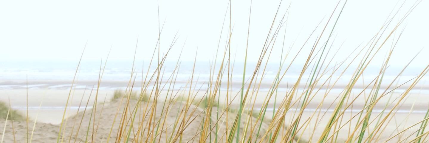 clamfield's profile banner image