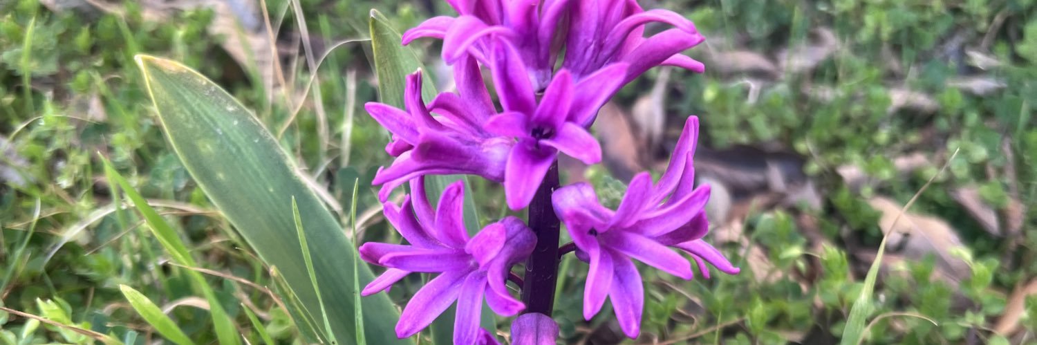 CarsynCarter's profile banner image