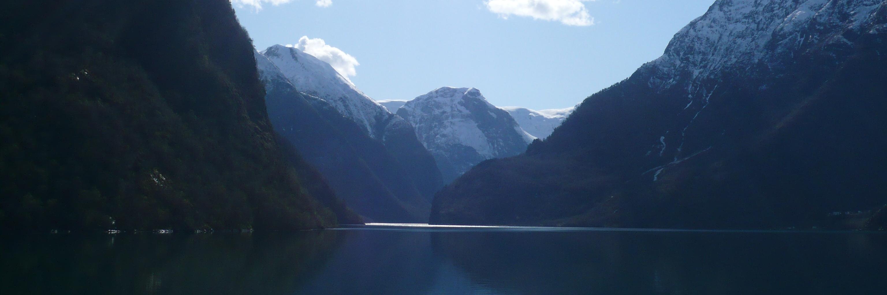 Roy Fox (@royf@sigmoid.social) banner