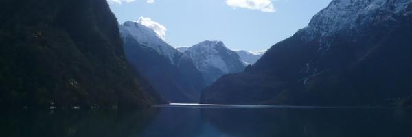 roydfox Profile Banner