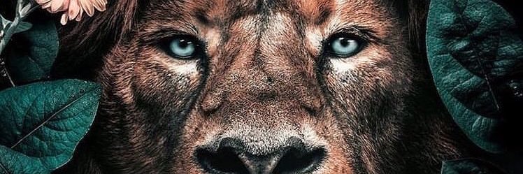 UFKKRT's profile banner image