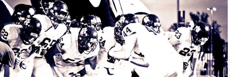 Dripping Springs Pigskins banner