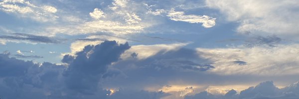 TLoui143 Profile Banner