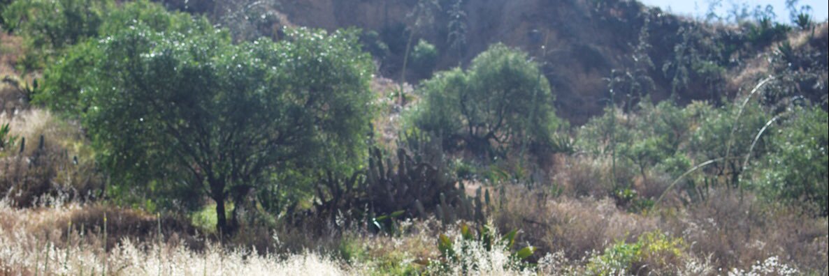 VrindavanPeru's profile banner image