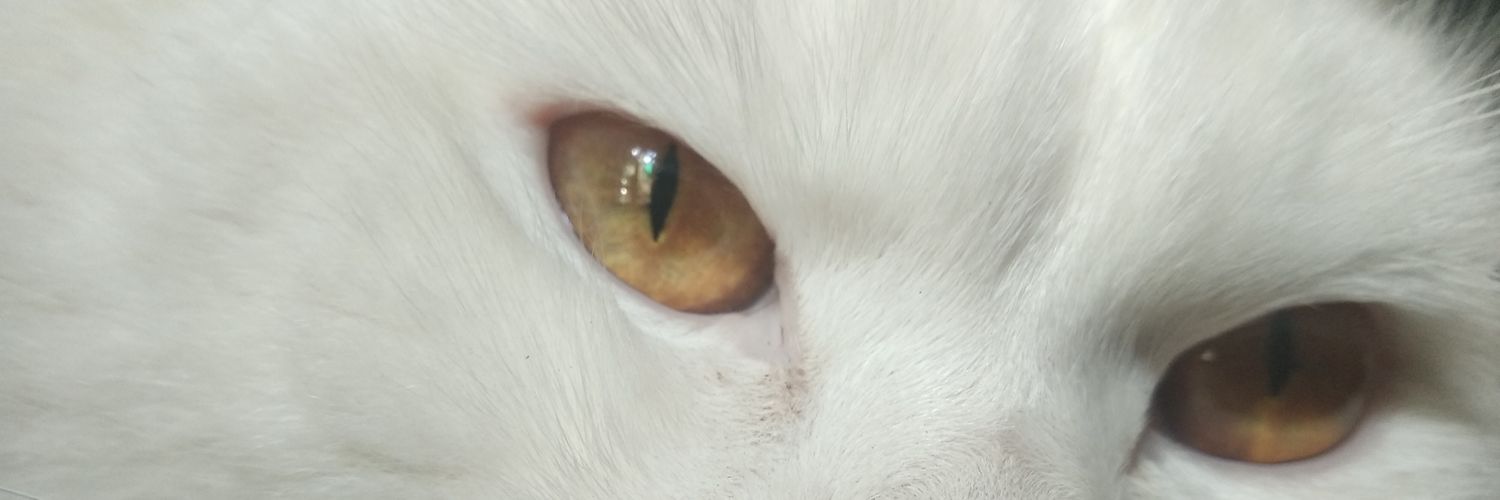YusiMessi24's profile banner image