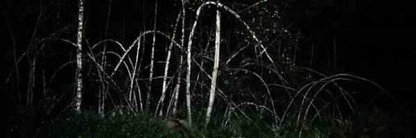 alexrmoskowitz Profile Banner