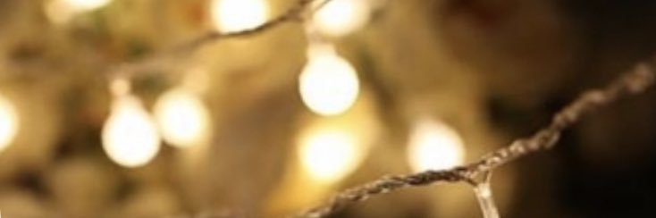 Laura O’Connor banner