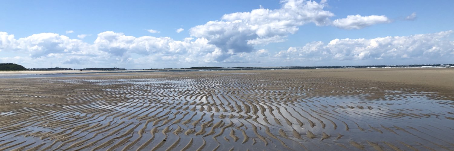 Dr. Elizabeth Barnes banner