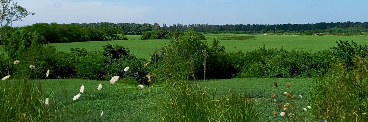 apocalíptica banner