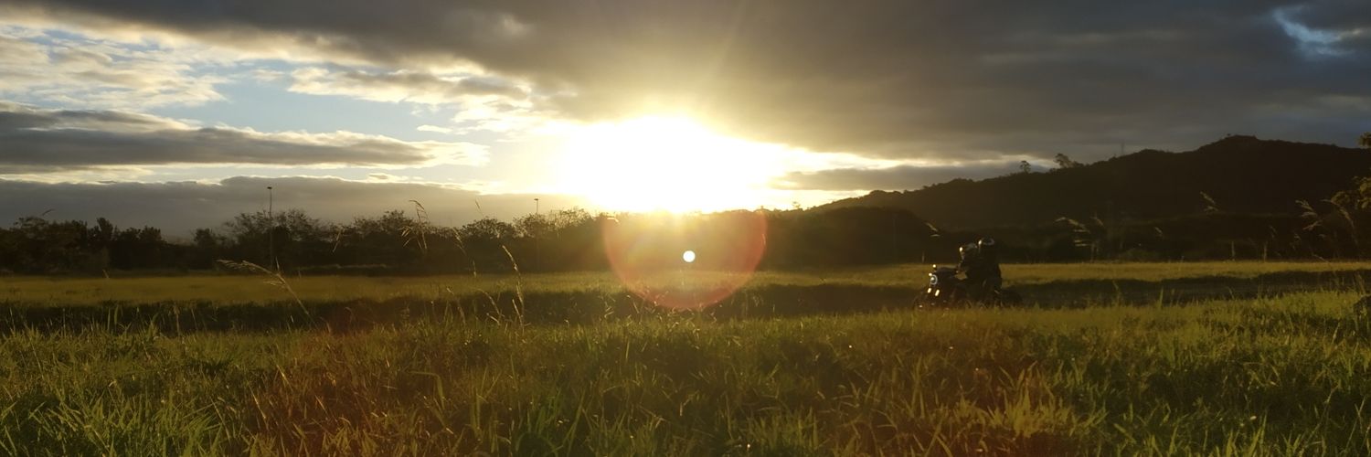 MPrebianca's profile banner image