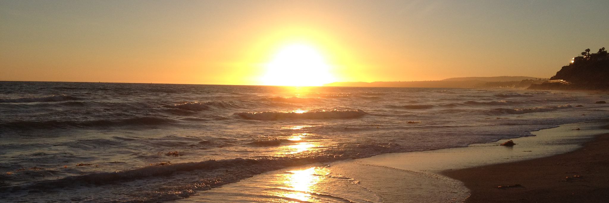 Luke Cheeseman banner