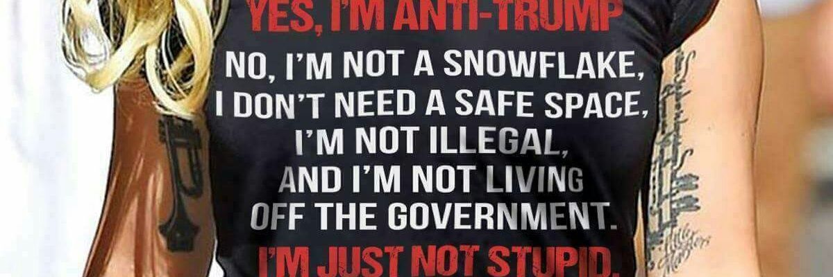 TrumpsAMoron00's profile banner image