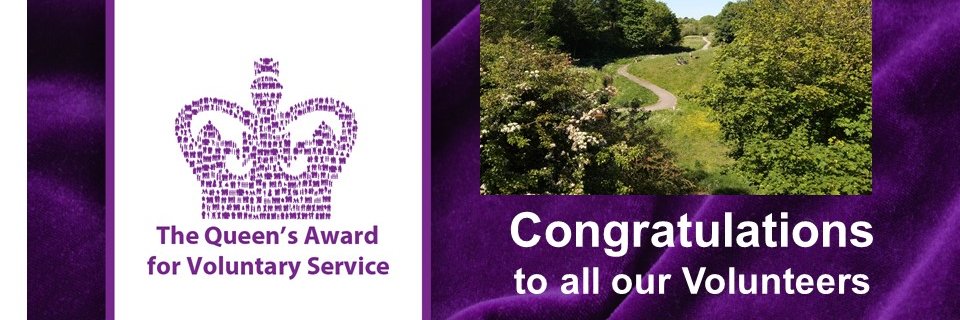 Friends of Brierdene banner