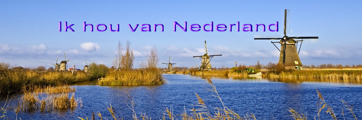 anja_roo's profile banner image