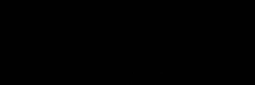 el banner