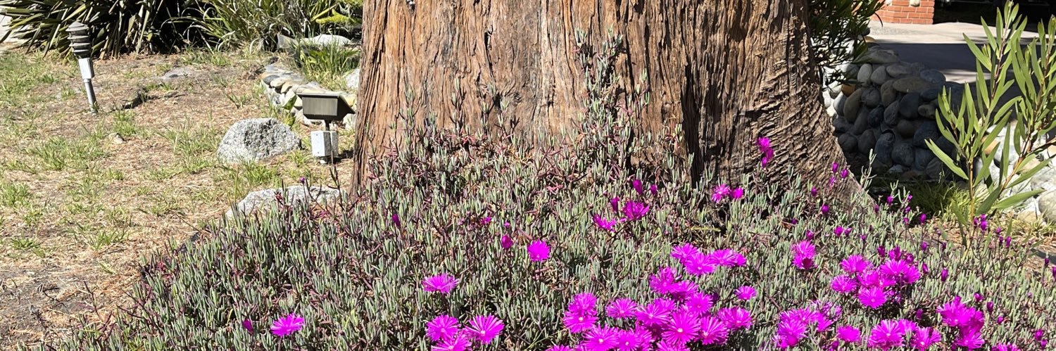 Dr. Heather Hallen-Adams banner