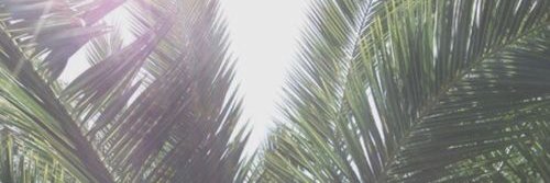 sydgreco's profile banner image
