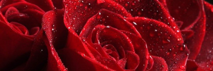 _OneInAMillie's profile banner image