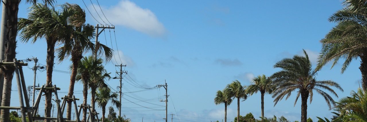 o0804h's profile banner image