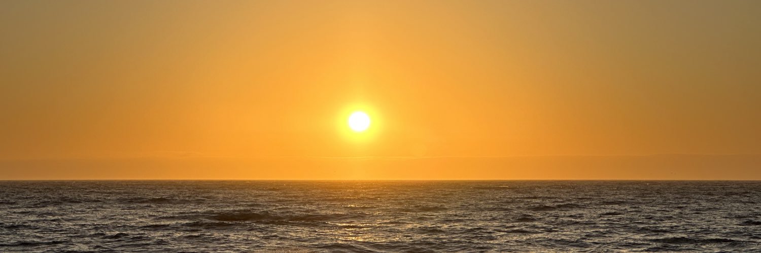 Miguel Piñeros P. banner