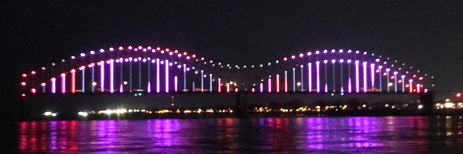 Pitt of despair banner