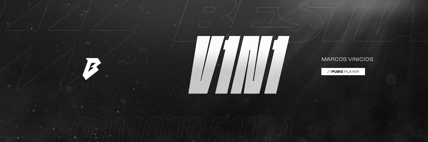 v1n1 banner