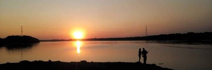 Gull_Con's profile banner image