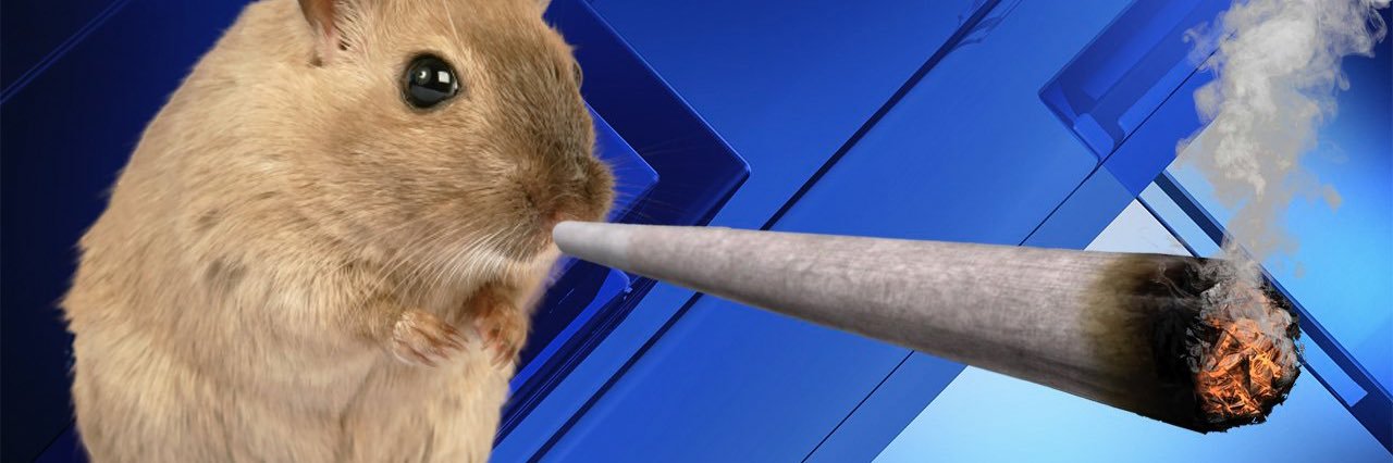 reillycrewe's profile banner image