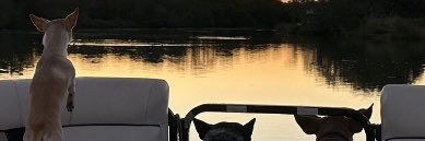swjones9's profile banner image