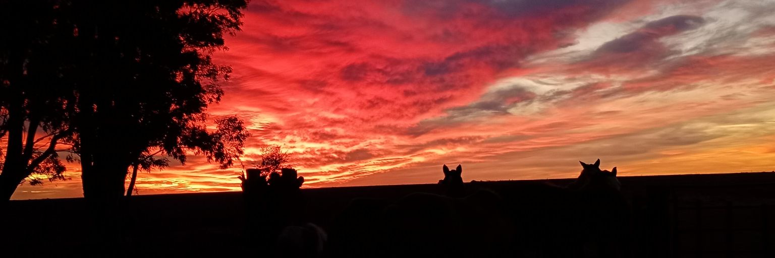 caammSuarez's profile banner image