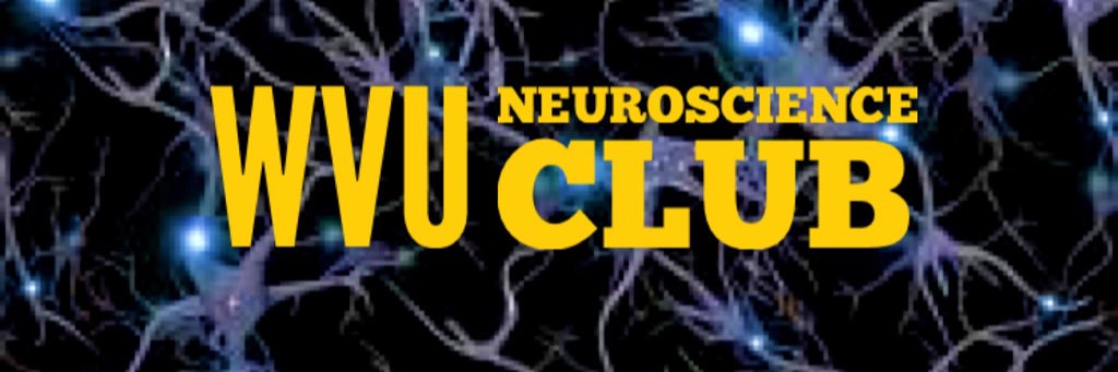 WVUNeuroscience banner