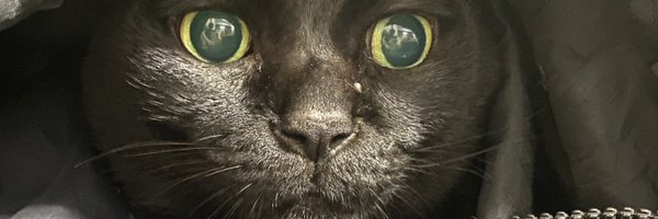 april17tw Profile Banner