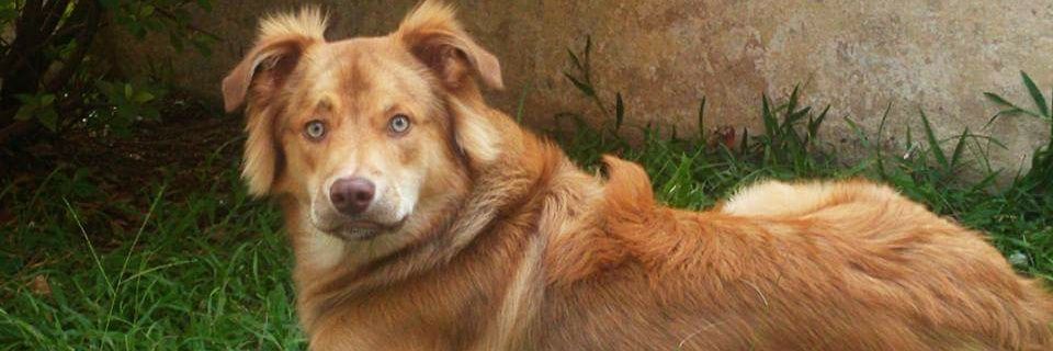 brulopx's profile banner image