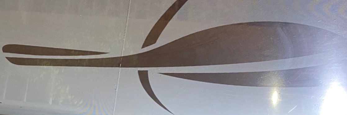 Dr Maisam Najafizada banner