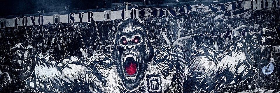 padesalvas's profile banner image