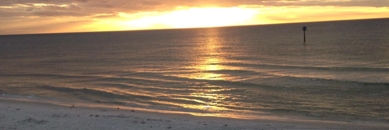 allig412's profile banner image