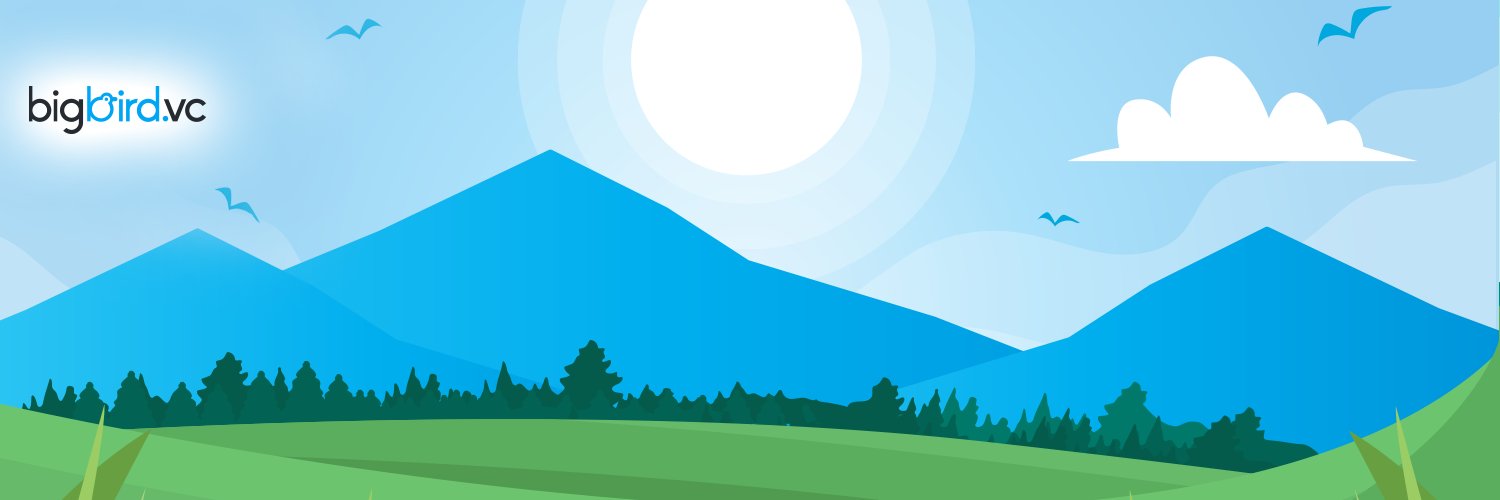Big Bird banner