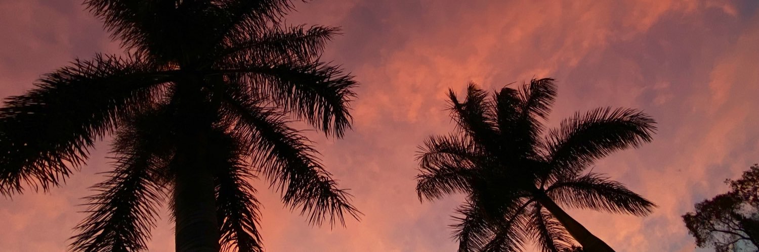 ana_gvp's profile banner image