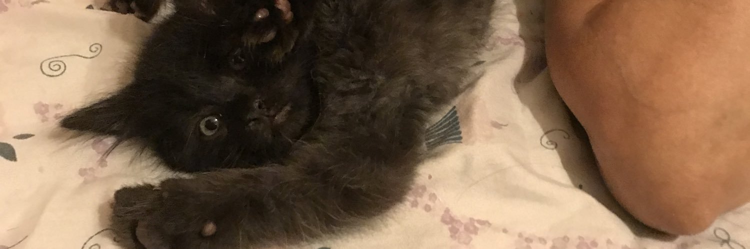l0nerizm's profile banner image
