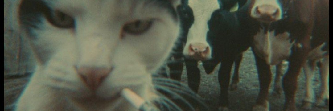 ztrxzz's profile banner image
