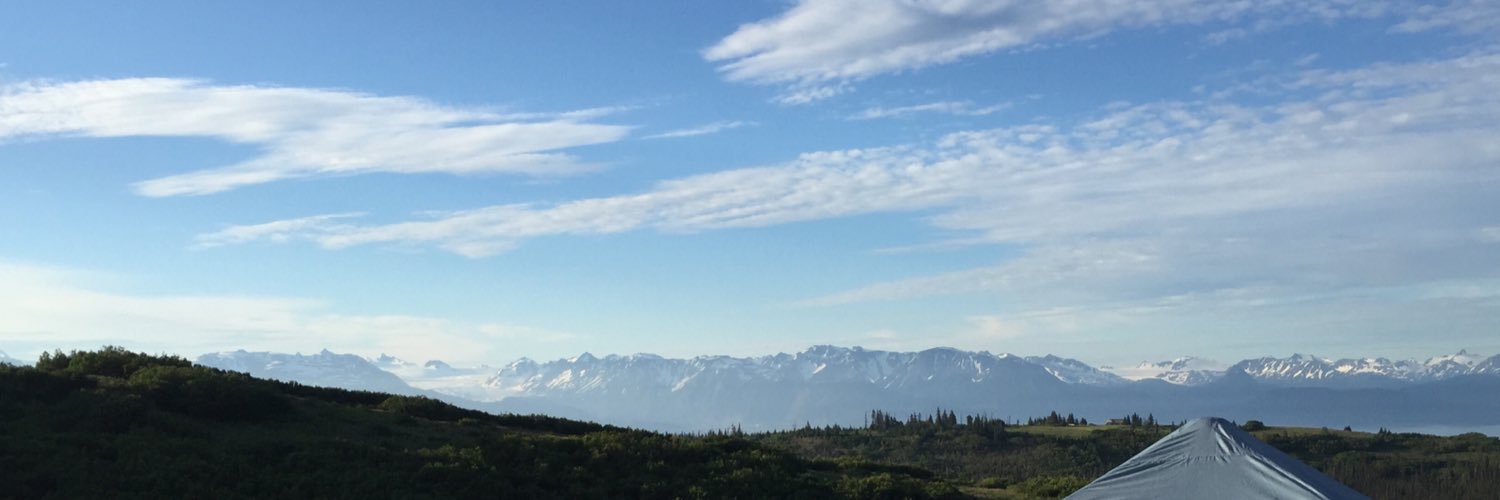 sberb00's profile banner image