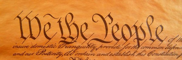ZyroFoxtrot Profile Banner