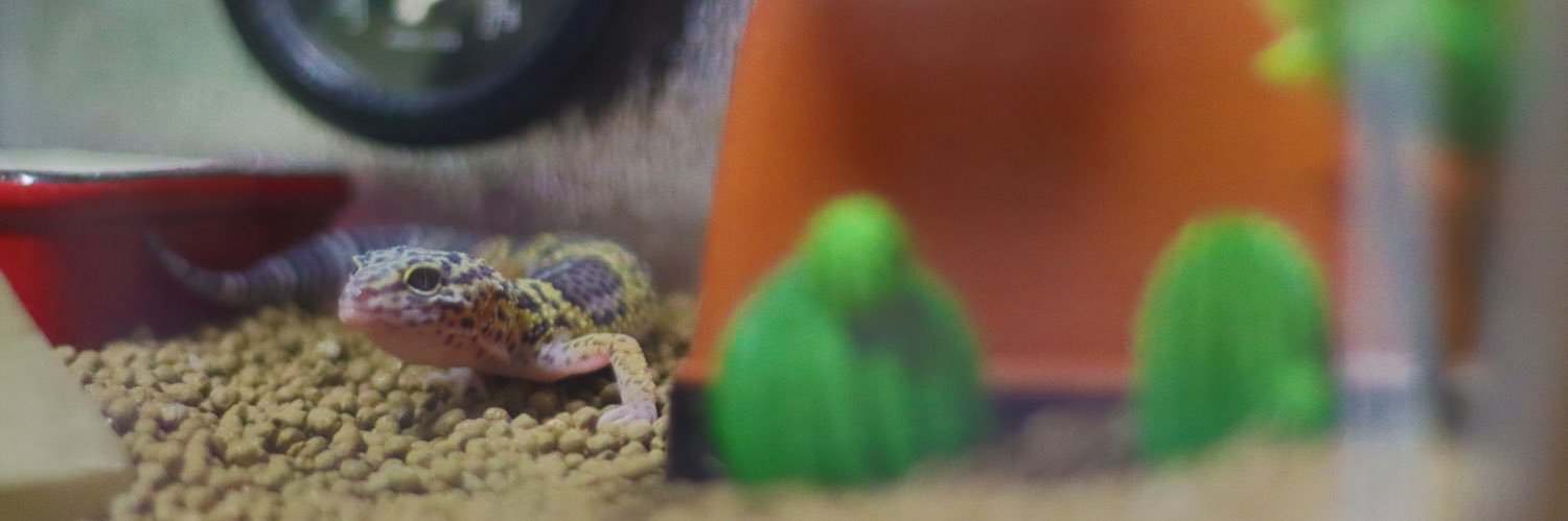 hide1214_dsc400's profile banner image