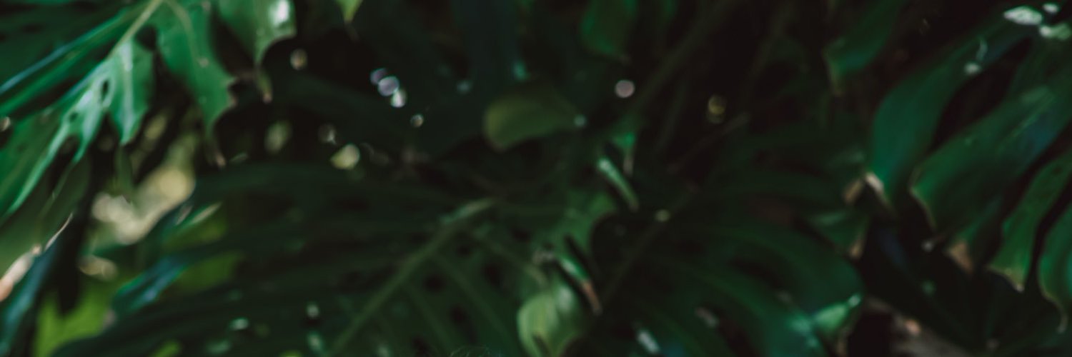 𝙰𝚗𝚐𝚎𝚕𝚒 𝙻𝚞𝚣 Profile Banner