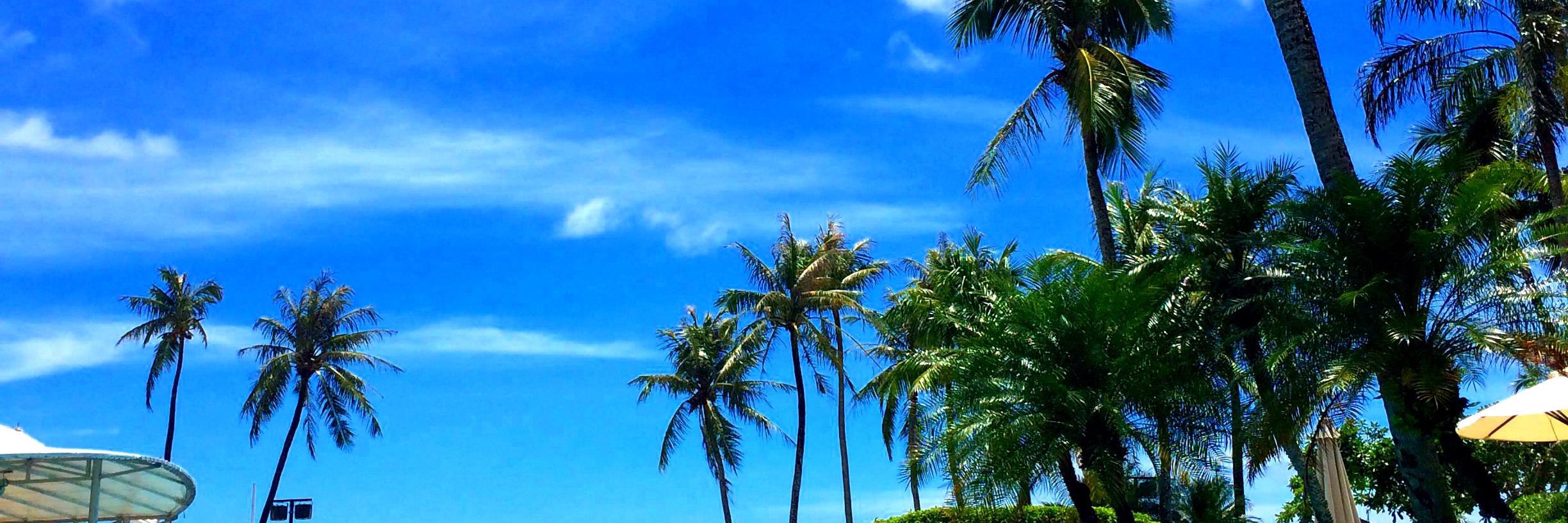 西田シャトナー伯【ジャイ！マヒシュマティ！】 banner