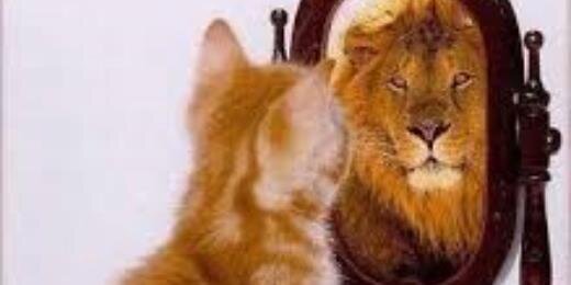 MrsLLJohnson's profile banner image