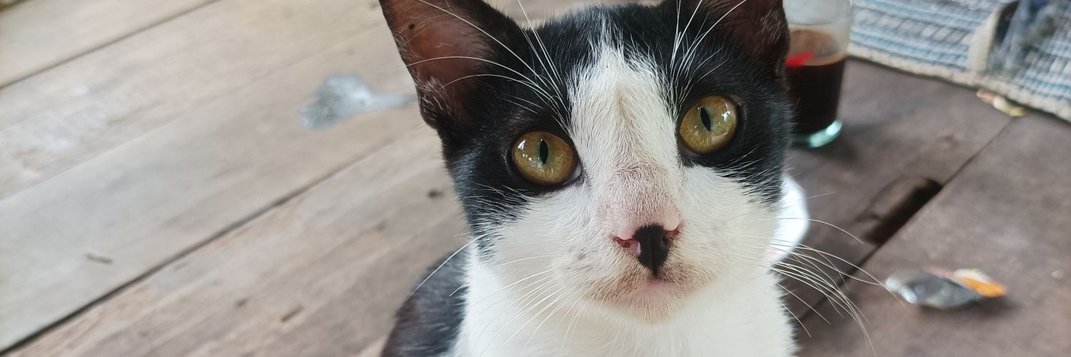 ropikkrend's profile banner image