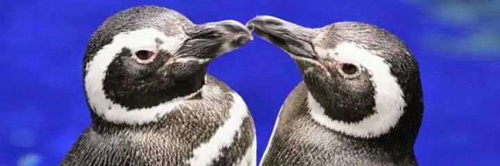 3280B's profile banner image